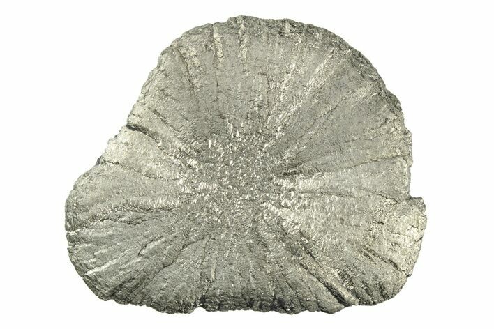 Radiant Pyrite Sun - Sparta, Illinois #342546